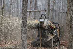 cea mai buna motocoasa stihl