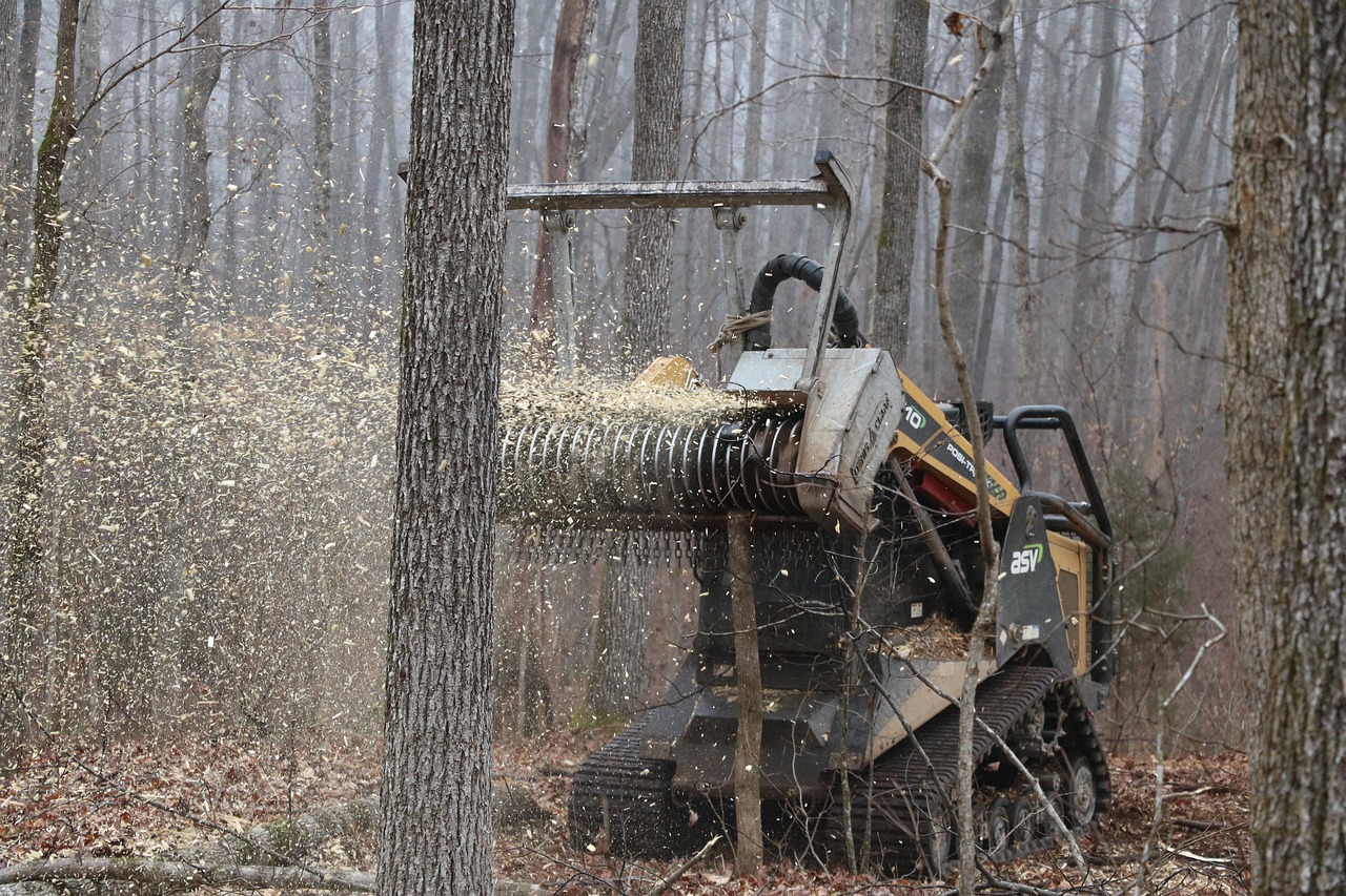 cea mai buna motocoasa stihl